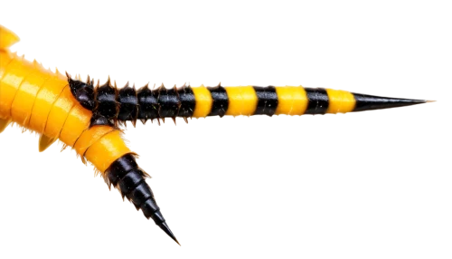 centipede,ovipositor,millipede,fire salamander,yellow dragonfly,caterpillar,polychaete,thermometric,garbarnia,wurm,swallowtail caterpillar,oak sawfly larva,wasp spider,sawfly,palila,centipedes,kusarigama,pseudagrion,millipedes,earwig,Art,Classical Oil Painting,Classical Oil Painting 24