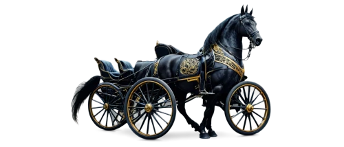 carriage,horse carriage,cantered,horse-drawn carriage,horse-drawn carriage pony,black horse,bronze horseman,friesian,chariot,horse drawn carriage,cart horse,carriages,derivable,handcycle,dark blue and gold,horse and cart,velocipede,black and gold,shire horse,equato,Conceptual Art,Fantasy,Fantasy 12