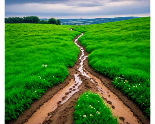 soil erosion,green landscape,mudflows,chemin,singletrack,meandering,trail,ruts,green fields,furrows,palouse,dirt road,hiking path,flodden,furrow,ploughed,hare trail,unpaved,meander,downhills,Art,Classical Oil Painting,Classical Oil Painting 11