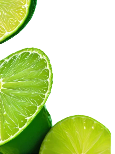 sliced lime,lime slices,limes,lime,lemon background,limeade,green oranges,patrol,limerent,limon,limey,defend,lemon wallpaper,aaa,limonene,aaaa,mojito,asian green oranges,citron,defence,Illustration,Vector,Vector 02