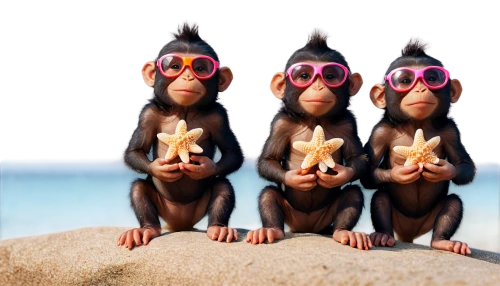 monkey family,monkeys band,three monkeys,simians,monkey gang,monkeys,chimps,madagascans,three wise monkeys,primates,holidaymakers,travelzoo,monkeying,monkeypox,sunbathers,monos,summer clip art,chimpanzees,vacationers,primatologists,Illustration,Realistic Fantasy,Realistic Fantasy 44