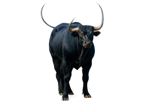 taurus,horoscope taurus,the zodiac sign taurus,tanox,tribal bull,gaur,ratri,cow icon,bos taurus,cape buffalo,ox,aurochs,gnu,kulundu,bull,minotaur,ataur,horns cow,bakra,gnus,Art,Artistic Painting,Artistic Painting 36