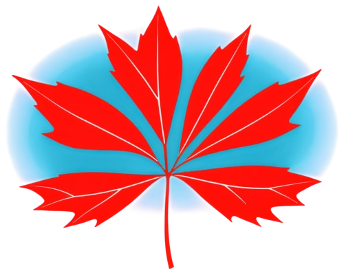 red maple leaf,maple leaf red,maple leaves,maple foliage,yellow maple leaf,leaf background,maple leave,palm tree vector,red leaf,mape leaf,leafed,maple bush,lotus png,canada cad,anaglyph,liquidambar,thunberg's fan maple,tropical leaf,fan leaf,oakleaves,Art,Artistic Painting,Artistic Painting 44