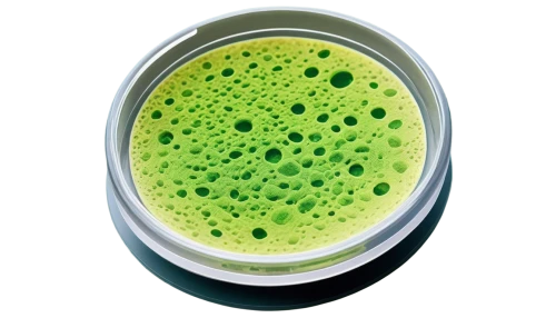 microalgae,blastocystis,green bubbles,euglena,cyanobacteria,chloroplasts,liposomal,chloropaschia,chlorella,chloroplast,chloro,microsporum,endospores,vacuolar,liposome,cyclospora,coliforms,emulsification,prokaryote,xylem,Photography,Artistic Photography,Artistic Photography 12