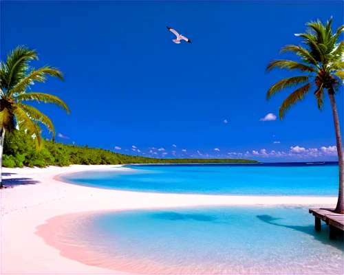 maldive islands,maldive,french polynesia,lakshadweep,cook islands,seychelles,caribbean,grenadines,the caribbean,caribbean beach,maldives,tropical beach,mustique,caribbean sea,dream beach,maldives mvr,tropical island,tahiti,tropical sea,micronesia,Photography,Fashion Photography,Fashion Photography 16