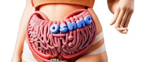 digestive system,colorectal,colonic,colitis,duodenal,human digestive system,intestine,crohn,gastrointestinal,gastric,stomach,digestive,intestinal,human internal organ,diverticula,colostomy,appendix,digestion,abdominal,pancreas,Illustration,Vector,Vector 21