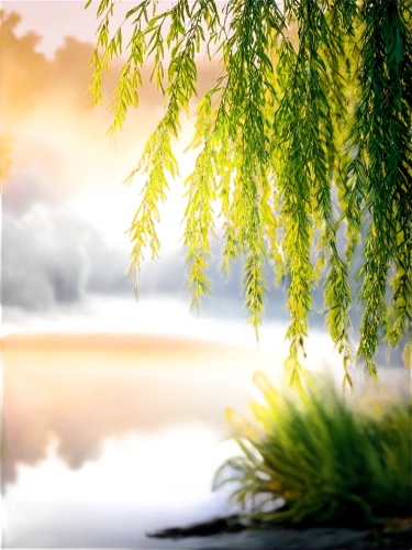 weeping willow,nature background,metasequoia,pond,waterscape,landscape background,evening lake,virtual landscape,background view nature,river landscape,waterbody,water scape,green trees with water,small landscape,reedbed,wetland,3d background,landscape nature,wetlands,nature landscape,Art,Classical Oil Painting,Classical Oil Painting 27