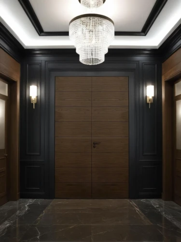 dark cabinetry,hinged doors,entryways,room door,wainscoting,millwork,hallway,entryway,elevators,hallway space,barrooms,paneling,coffered,3d rendering,metallic door,levator,anteroom,hotel hall,entranceways,ballrooms