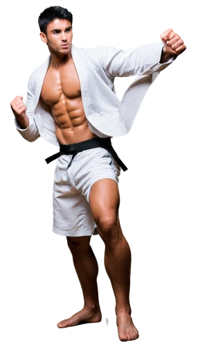 cejudo,karateka,kyokushin,vijender,masvidal,nidan,judoka,karate,pattabhi,varvares,siam fighter,png transparent,nijem,jitsu,koscheck,jujitsu,kazuya,xingyiquan,natekar,martial arts,Photography,Documentary Photography,Documentary Photography 25