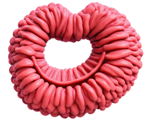 glomerulus,flagellum,intestine,liposomes,polyps,ercp,cinema 4d,eukaryote,polyp,schistosomes,centriole,intestines,flagella,mitochondrion,heartworms,inflatable ring,coral swirl,tubules,chakram,ammonoid,Art,Classical Oil Painting,Classical Oil Painting 34