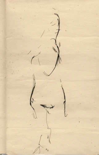 baartman,baishi,male poses for drawing,woman sitting,woman's backside,drypoint,mermaid silhouette,tusche indian ink,digitised,vintage drawing,padmasana,female body,figure,scintigraphy,monotype,woman frog,lithograph,woman silhouette,female silhouette,edward lear,Illustration,Paper based,Paper Based 07