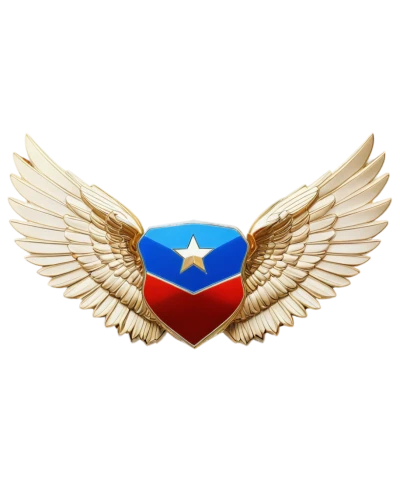 boricua,aguiluz,centrafrican,paraguayan,sudamerica,camuy,hispanoamericana,tejano,united states air force,dominicana,campero,iberoamericana,sudamericano,lamerica,centroamericana,honduran,aguila,guayama,puerto rico,escudo,Photography,Documentary Photography,Documentary Photography 19