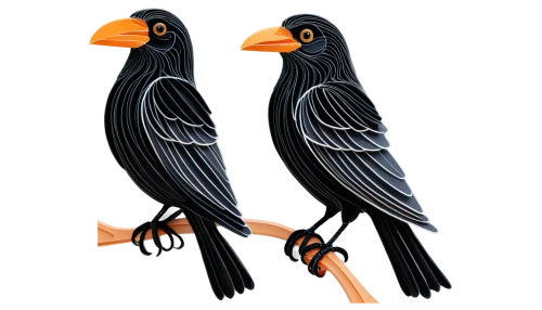 caracaras,magpies,pair of pigeons,corvids,macaws on black background,helmetshrikes,eagle vector,hornbills,two pigeons,passerine parrots,crows,indigobirds,3d crow,bird png,ravens,antbirds,bird couple,rozonda,malkoha,condors,Unique,Paper Cuts,Paper Cuts 09