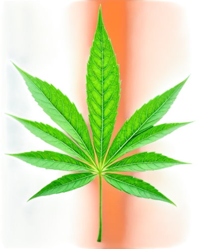 mape leaf,leaf background,cannabidiol,green leaf,huana,mugwort,custody leaf,jungle leaf,cannabinol,tropical leaf,weed,leafed,crop plant,legalize,cannabidio,tree leaf,pokok,dagga,agram,cannabinoids,Art,Artistic Painting,Artistic Painting 21