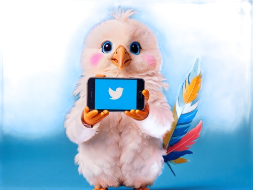 twitter logo,twitter bird,tweeter,social media icon,tweeting,tweeters,tweetie,twittering,tweet,social media marketing,microblogging,tweezing,twittered,tweets,twitter,nestico,social media manager,social media following,twits,quickbird,Illustration,Japanese style,Japanese Style 01