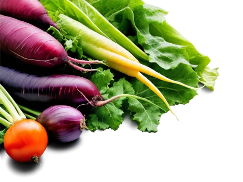 colorful vegetables,phytochemicals,carotenoids,verduras,vegetables landscape,fresh vegetables,vegetable juices,vegetable fruit,crudites,vegetables,fruits and vegetables,lutein,fruit and vegetable juice,antioxidants,fruit vegetables,root vegetables,anthocyanin,vegetable,mixed vegetables,organic food,Conceptual Art,Daily,Daily 19
