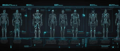 human body anatomy,kamino,vector infographic,medical concept poster,human anatomy,human skeleton,anatomical,levski,limb males,sulaco,the human body,human body,rorqual,sector,xenos,anatomies,skeletal structure,blueprints,reclaimer,corpus,Conceptual Art,Sci-Fi,Sci-Fi 09