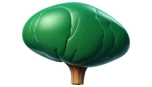 shamrock balloon,resprout,houseleek,irish balloon,green balloons,bulbous plant,pinya,growth icon,gas balloon,nepenthaceae,seedpod,cymbopogon,metasequoia,popcap,chlorophyll,zuiverloon,verde,chloropaschia,balayogi,hostplant,Illustration,Japanese style,Japanese Style 12