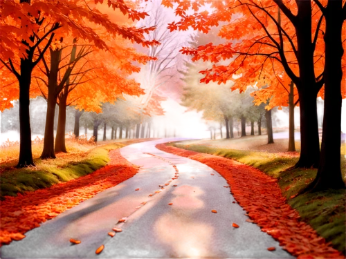 autumn background,autumn scenery,autumn walk,autumn landscape,autumn day,autumn idyll,autumn,the autumn,autumn morning,autumn forest,one autumn afternoon,maple road,autumn leaves,fall landscape,just autumn,autumn season,autumn trees,autumn songs,late autumn,autumn park,Unique,Paper Cuts,Paper Cuts 10