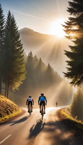 road cycling,road bikes,bicyclists,cyclists,cross country cycling,headwinds,cycling,share the road,cyclisme,cyclist,bicycling,mountainbike,coureurs,cycliste,road bike,domestique,uphill,tour de france,superprestige,tourers