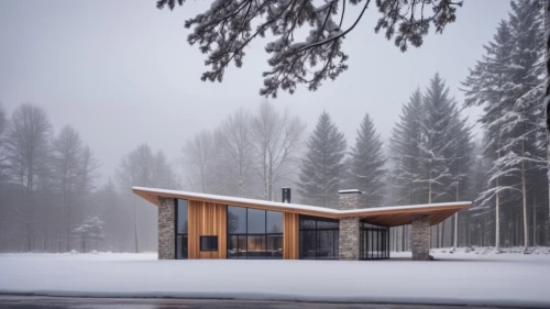 winter house,snow shelter,timber house,snow house,snow roof,snohetta,forest house,mid century house,inverted cottage,snowhotel,cubic house,bohlin,methow,zumthor,house in the forest,wooden house,forest chapel,small cabin,ski facility,bus shelters,Photography,General,Realistic