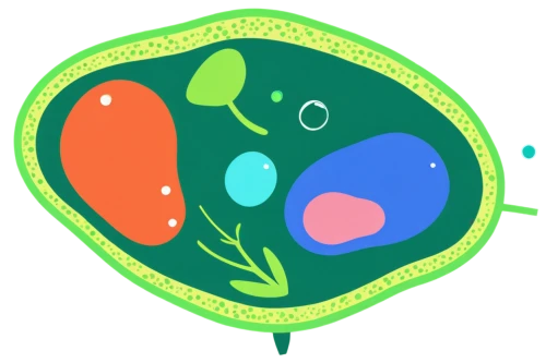 aaaa,watermelon background,paramecium,fruit icons,earth fruit,chloropaschia,ovule,green kiwi,biosamples icon,phagocytosis,palta,fruits icons,green bubbles,pea,patrol,oio,portal,embryogenesis,katamari,green tomatoe,Art,Artistic Painting,Artistic Painting 43