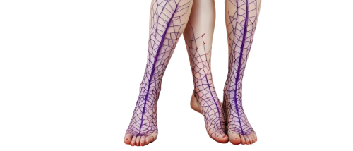 lymphedema,vasculature,lymphatic,tibialis,lipolysis,formosana,dermatome,sclerotherapy,lymphatics,fibromyalgia,arteriovenous,revascularization,connective tissue,venous,perivascular,venules,popliteal,polyneuropathy,varices,osteogenic,Art,Artistic Painting,Artistic Painting 38