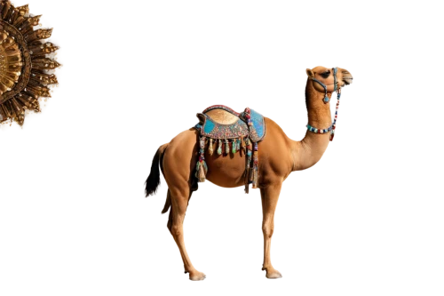 arabian horse,arabian horses,male camel,thoroughbred arabian,nazari,shahnama,arabians,mohammedmian,sauros,carousel horse,arabian,dromedary,nighthorse,charioteer,navajo,carnival horse,nefertiti,wadjet,hammami,hussar,Illustration,Paper based,Paper Based 21
