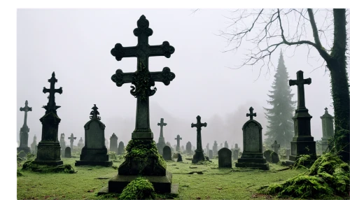 graveyards,grave stones,graveyard,old graveyard,forest cemetery,gravestones,tombstones,burial ground,friedhof,cemetery,cemetary,cemetry,burials,old cemetery,headstones,jew cemetery,obituaries,churchyards,epitaphs,graveside,Conceptual Art,Sci-Fi,Sci-Fi 14