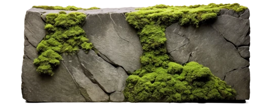 moss landscape,block of grass,mountain stone edge,foliation,virtual landscape,microworlds,tree moss,forest moss,3d background,karst landscape,bryophyte,greenschist,moss,terrain,voxels,soil erosion,bryophytes,quartz sandstone peak woodland landscape,mossy,outcropping,Art,Classical Oil Painting,Classical Oil Painting 31