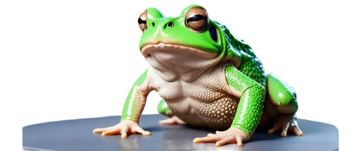 frog figure,frog background,frog,3d model,geico,man frog,green frog,litoria,frog man,gex,agamid,3d figure,pasquel,3d rendered,perroncel,treefrog,bullfrog,water frog,running frog,qwark,Conceptual Art,Sci-Fi,Sci-Fi 29