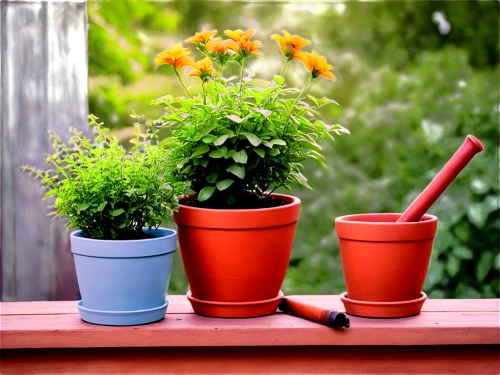 wooden flower pot,plants in pots,potted flowers,garden pot,terracotta flower pot,flower pots,flowerpots,plant pots,potted plants,flower pot holder,flower pot,wooden buckets,balcony garden,flowerpot,planters,potted plant,watering can,plant pot,small plants,garden plants,Art,Artistic Painting,Artistic Painting 25