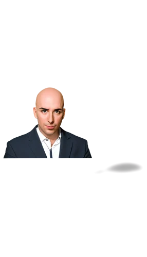 molyneux,lenderman,kashkari,otaiba,cerveris,kornstein,oppenheimer,minniti,klauer,jonjo,ebdon,rezko,baldi,fadi,blankfein,bigeard,thalheimer,baldacci,mosaddegh,balsillie,Illustration,Vector,Vector 04