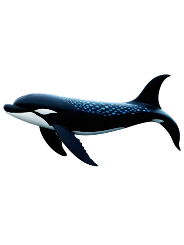 dolphin background,northern whale dolphin,dusky dolphin,tursiops,orca,balaenoptera,liopleurodon,blue whale,cetacean,cetacea,orcas,vaquita,dolphin,tilikum,porpoise,whale,cetaceans,makani,bottlenose dolphin,pliosaur,Illustration,Abstract Fantasy,Abstract Fantasy 02