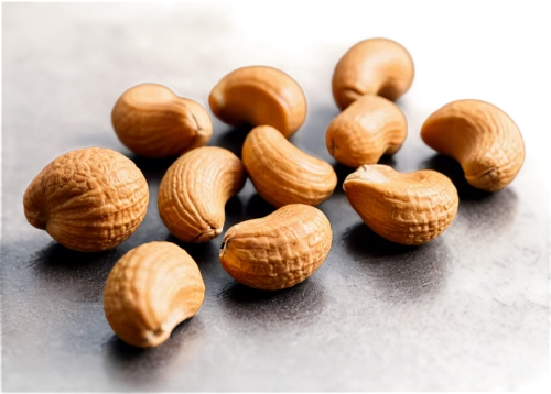 hazelnuts,walnuts,betelnut,almond nuts,acorns,walnut oil,hazelnut,walnut,indian almond,nutshells,unshelled almonds,acorn,nueces,harthacnut,almond,pistachio nuts,pecans,pine nuts,almonds,groundnut,Photography,Fashion Photography,Fashion Photography 26