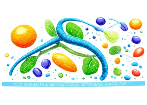 biosamples icon,microbiological,proteobacteria,betaproteobacteria,bifidobacterium,lipoproteins,autoantibodies,bacterium,endosomes,bacteriological,fusobacterium,bacteroidetes,endosymbiotic,microbiota,cell structure,t-helper cell,bactericidal,prokaryotes,nucleoprotein,enterobacteria,Illustration,Retro,Retro 14