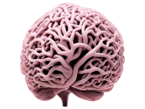 cerebrum,brain icon,neurodegenerative,human brain,cerebellum,brainlab,encephalopathy,brain structure,neuroplasticity,neurite,encephalopathies,amygdala,neurodegeneration,cerebrovascular,cortical,thalamocortical,neurobiological,neurocranium,neurogenesis,neocortex,Illustration,Black and White,Black and White 01