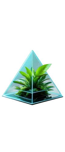 growth icon,terrarium,square background,triangles background,lowpoly,block of grass,low poly,cube surface,faceted diamond,aloe,cube background,hypercubes,diamond background,cryptocrystalline,nettled,isometric,glass pyramid,leaf background,zigzag background,capitata,Photography,Artistic Photography,Artistic Photography 02