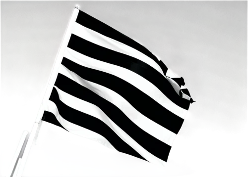 zebra,estripeau,zebre,diamond zebra,paok,zebra pattern,tiger png,striped background,assos,bianconeri,central stripe,black paint stripe,toumba,nautical banner,zebra fur,flagman,zabu,spezia,papuan,racing flags,Conceptual Art,Sci-Fi,Sci-Fi 04