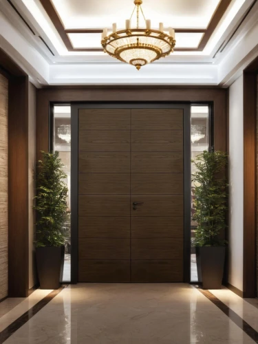 hinged doors,metallic door,room door,levator,elevators,hallway space,search interior solutions,entryways,entryway,doorkeepers,walk-in closet,entranceways,ballrooms,hallway,armoire,wooden door,doors,wardrobes,chambres,recessed