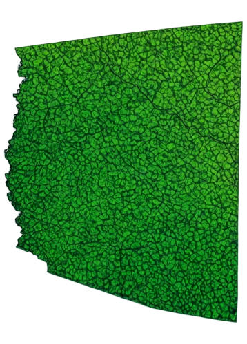 azolla,stomata,microalgae,voronoi,pointwise,cube surface,chloropaschia,spring leaf background,seamless texture,block of grass,microvilli,cyanobacteria,leaves case,fontana,topographer,landcover,tropical leaf pattern,microarrays,chloroplasts,monolayer,Illustration,Black and White,Black and White 27