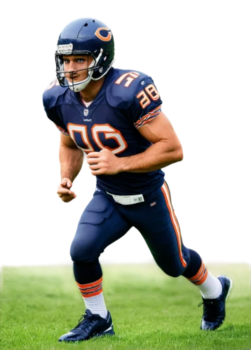 reifert,urlacher,gualdi,klukowski,aguayo,reesing,maualuga,majkowski,kubiak,amendola,stoudt,trevathan,losman,heuberger,hauschka,kosar,eichenberg,neuheisel,gielen,ditka,Illustration,Vector,Vector 12