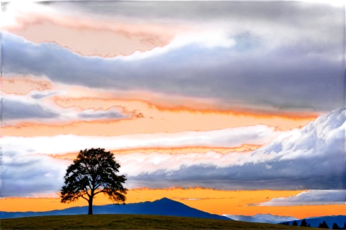 lone tree,isolated tree,watercolor pine tree,landscape background,lonetree,mount hood,pine tree,ranier,sugarloaf,hekla,mount taranaki,volcanic landscape,dusk background,fir tree silhouette,popocatepetl,albero,nature background,mountain landscape,mount shasta,mountain scene,Photography,Documentary Photography,Documentary Photography 35