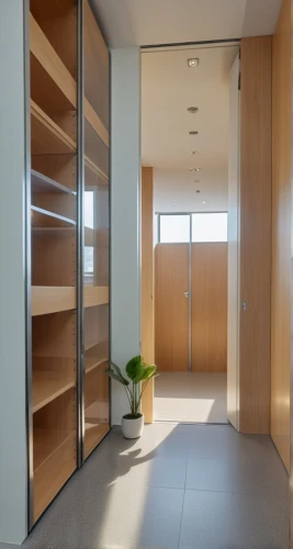 walk-in closet,hallway space,japanese-style room,mudroom,storage cabinet,room door,search interior solutions,wardrobes,hinged doors,interior modern design,oticon,modern room,closets,bookcases,modern office,smartsuite,contemporary decor,dumbwaiter,bookcase,pantry,Photography,General,Realistic