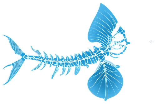 constellation swordfish,arowanas,anomalocaris,arowana,sailfish,mermaid vectors,taniwha,sarcopterygian,coelacanth,blue fish,mermaid silhouette,dragonair,swordfish,mermaid background,mesopelagic,swordtail,dragonfish,blue stripe fish,melanophores,billfish,Unique,Design,Blueprint