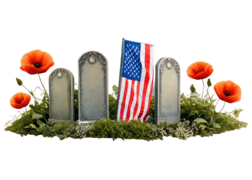 memorial day,interred,immemorial,reinterred,remembrance,grave arrangement,memorials,reinterment,soldier's grave,honoring,veteran's day,nonveterans,remembered,commemorates,headstone,cemetery,tombstones,graveside,veterans day,cimitero,Conceptual Art,Fantasy,Fantasy 05