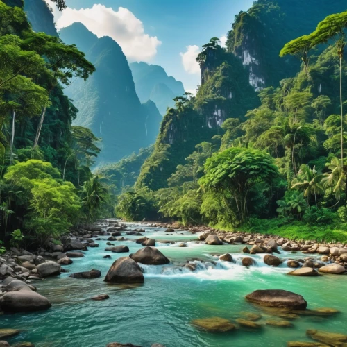 nature wallpaper,rainforests,nature background,river landscape,tailandia,tropical forest,background view nature,beautiful landscape,vietnam,nature landscape,rain forest,landscapes beautiful,natural scenery,landscape background,mountainous landscape,the natural scenery,aaaa,borneo,amazonia,beautiful nature,Photography,General,Realistic