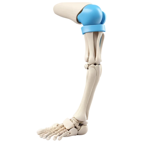 osteoporotic,artificial joint,orthopedics,orthopaedics,osseointegration,osteoarthritis,osteocalcin,nalbone,sesamoid,biomechanically,metatarsus,biomechanist,exoskeletal,orthopaedic,ulna,osteoporosis,osteopath,orthophosphate,prosthesis,arthritis,Photography,Documentary Photography,Documentary Photography 26