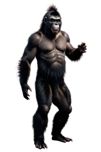 gorilla,shabani,ape,virunga,apeman,gimlin,silverback,utan,grodd,gigantopithecus,rilla,australopithecus,bigfoot,prosimian,molossus,hominick,simian,konga,hominoid,yowie,Conceptual Art,Daily,Daily 32