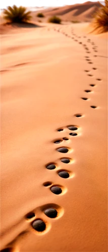 sand paths,sand ripples,tracks in the sand,footprints in the sand,footprints,sand waves,sand pattern,crescent dunes,libyan desert,sand road,traces,footsteps,moving dunes,footstep,footprint in the sand,shifting dunes,sand texture,liwa,admer dune,tamanrasset,Unique,Pixel,Pixel 05